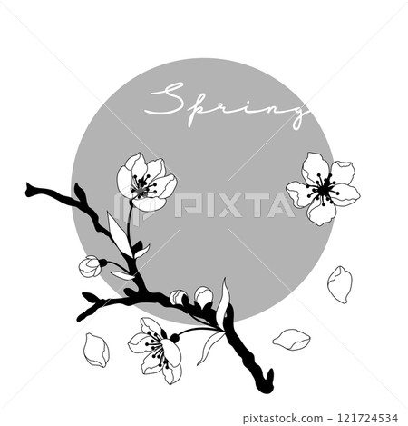 Background with spring flowers. Apple, sakura or cherry blossom. Beautiful decorative blooming plants. 121724534
