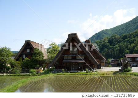 Reflection of rice paddies Reflection of rice paddies 121725699