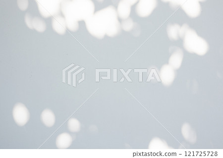 Abstract natural tree leaves shadow on white wall background 121725728