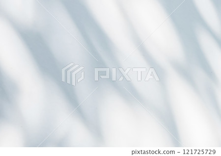 Abstract natural tree leaves shadow on white wall background 121725729