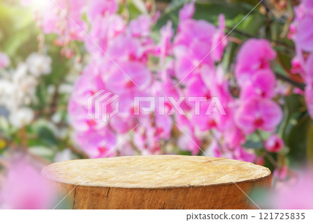Empty old tree stump table top with blur orchid garden background for product display 121725835