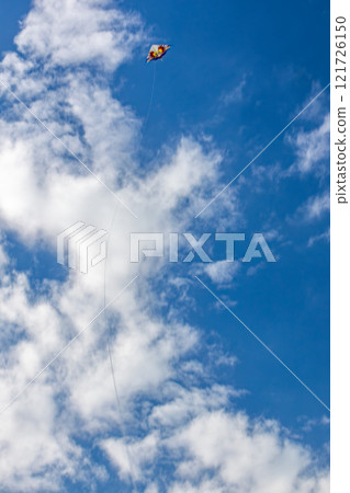 Okinawa's beautiful blue sky, blue sea, and winter kite flying on the beach (Western kites) 121726150