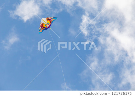 Okinawa's beautiful blue sky, blue sea, and winter kite flying on the beach (Western kites) 121726175