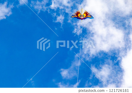 Okinawa's beautiful blue sky, blue sea, and winter kite flying on the beach (Western kites) 121726181