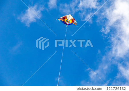 Okinawa's beautiful blue sky, blue sea, and winter kite flying on the beach (Western kites) 121726182