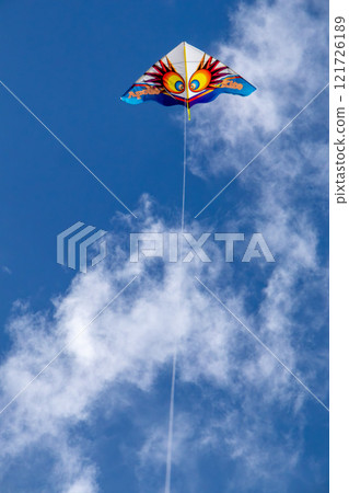 Okinawa's beautiful blue sky, blue sea, and winter kite flying on the beach (Western kites) 121726189