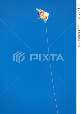 Okinawa's beautiful blue sky, blue sea, and winter kite flying on the beach (Western kites) Okinawa's beautiful blue sky, blue sea, and winter kite flying on the beach (Western kites) 121726198