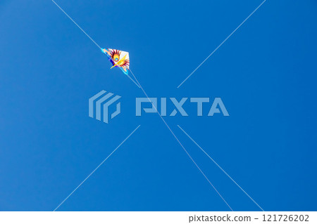 Okinawa's beautiful blue sky, blue sea, and winter kite flying on the beach (Western kites) 121726202