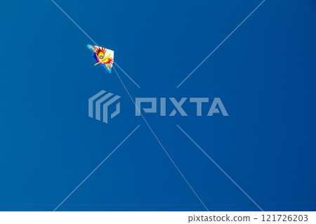 Okinawa's beautiful blue sky, blue sea, and winter kite flying on the beach (Western kites) 121726203