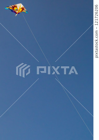 Okinawa's beautiful blue sky, blue sea, and winter kite flying on the beach (Western kites) 121726206