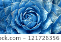 Beautiful blue succulent plant showcasing intricate details and textures in a close-up shot 121726356