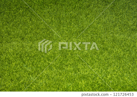Imitation realistic green grass textured background Imitation realistic green grass textured background 121726453