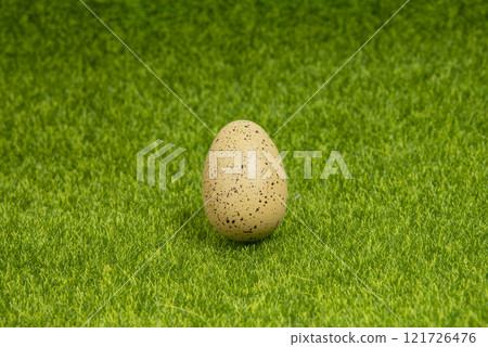 Single one hen egg on green grass background Single one hen egg on green grass background 121726476