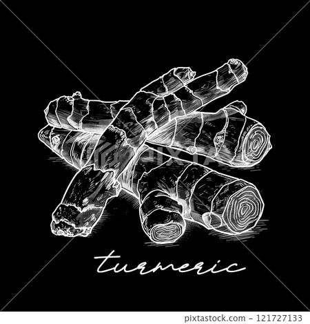Turmeric hand drawn vector illustration on black 121727133