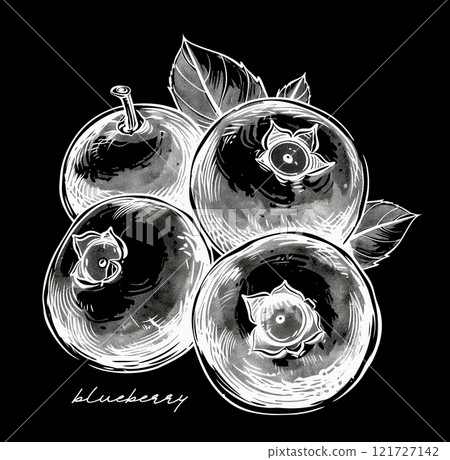 Blueberry hand drawn black and white vector illustration 121727142