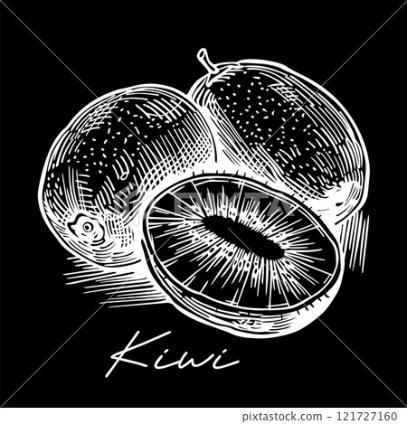 Kiwi fruit hand drawn black and white vector Kiwi fruit hand drawn black and white vector 121727160