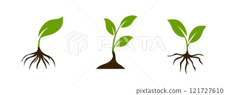 Leaf and root icon symbolizing organic agriculture and eco products. Leaf and root icon symbolizing organic agriculture and eco products. 121727610