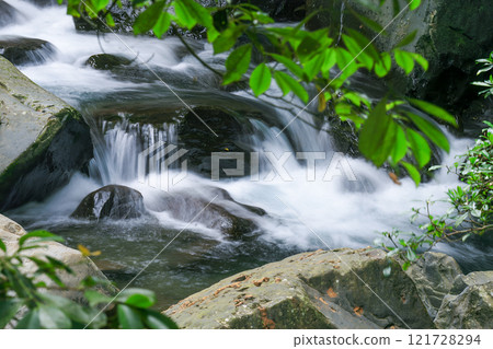 Flowing Stream and Green Foliage in Wulai, Taiwan. 121728294
