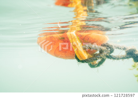 琵琶湖的水下風景 121728597