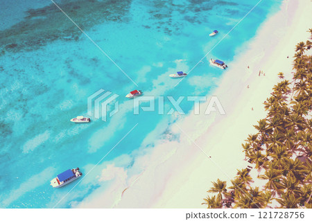 Tropical Caribbean beach from above, Dominican Republic Tropical Caribbean beach from above, Dominican Republic 121728756