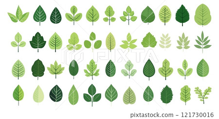 Flat leaf icons set. Leaves plant growth botanical symbol sign, botany nature minimalistic design decoration, leafs vector illustration 121730016