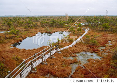 Scenic view of wooden trail through wetlands. Hiking trail for active recreation. 121731019