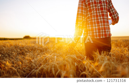 Silhouette of gronomist farmer in golden wheat field. Agricultural growth. farming business concept Silhouette of gronomist farmer in golden wheat field. Agricultural growth. farming business concept 121731316