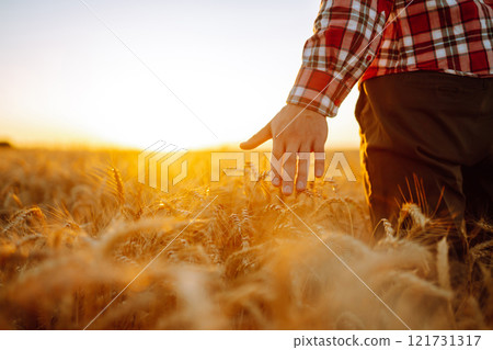 Silhouette of gronomist farmer in golden wheat field. Agricultural growth. farming business concept Silhouette of gronomist farmer in golden wheat field. Agricultural growth. farming business concept 121731317