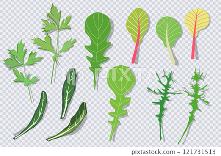 Mixture of lettuce leaves in flat style 121731513
