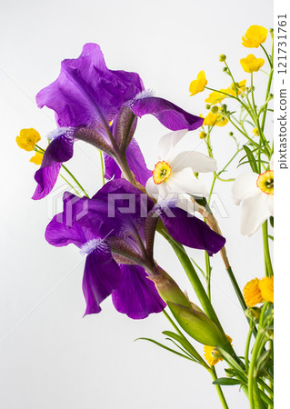 Bouquet of spring flowers, irises and yellow ranunculus with white daffodils Bouquet of spring flowers, irises and yellow ranunculus with white daffodils 121731761