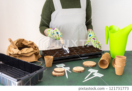 Woman planting tomato and pepper seeds on seedlings at home 121731773