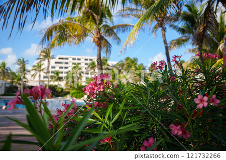 A stunning tropical paradise featuring swaying palm trees and vibrant, colorful flowers 121732266