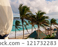 Tropical Paradise Beautiful Palm Trees Lining the Shore by the Exquisite Caribbean Sea 121732283