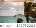 A Picturesque Tropical Scenic View Featuring Lush Palm Trees and the Beautiful Ocean 121732284