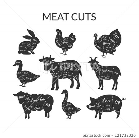 Meat Cuts Set, Farm Animals and Poultry with Meat Cuts Lines, Vintage Black and White Vector Illustration 121732326