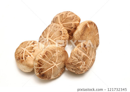 Raw shiitake mushrooms on white background 121732345