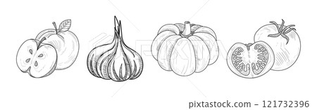 Sketch Fruit and Vegetables as Garden Crop Harvest Vector Set Sketch Fruit and Vegetables as Garden Crop Harvest Vector Set 121732396