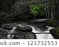 Small waterfall in the forest 121732553