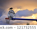 Bird standing on a basketball goal 121732555