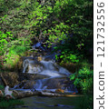 Small waterfall in the summer forest 121732556