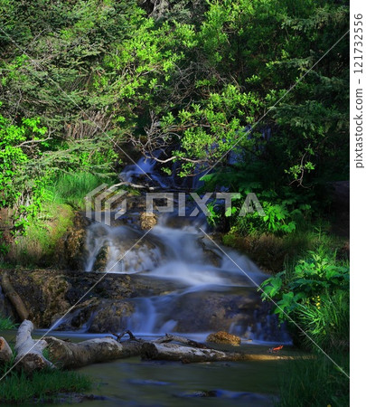Small waterfall in the summer forest 121732556