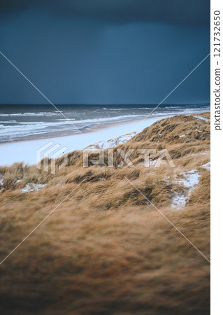 Snow Dunes at denmarks coastline Snow Dunes at denmarks coastline 121732650