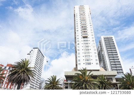 Mar del Plata palm trees and skyscrapers Mar del Plata palm trees and skyscrapers 121733080