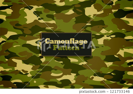 camouflage pattern texture in green shades background 121733146