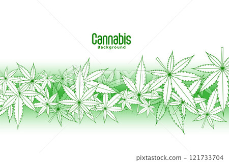 floating marijuana leaves on white background floating marijuana leaves on white background 121733704