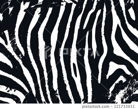 Zebra print pattern texture jungle vector background. Zebra skin pattern abstract wildlife design 121733831
