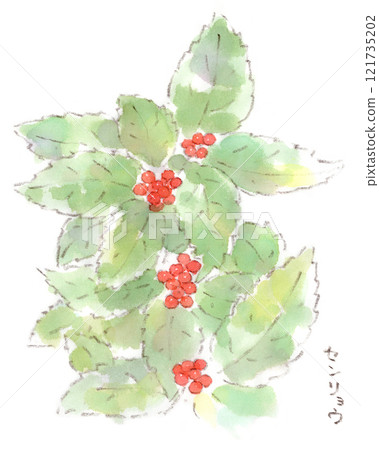 Senryo 的水彩素描,一種冬季植物,結有鮮紅色的果實 Senryo 的水彩素描,一種冬季植物,結有鮮紅色的果實 121735202