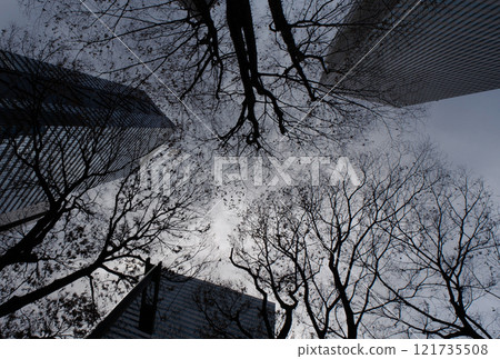 Trees in a skyscraper town floating in the winter sky 121735508