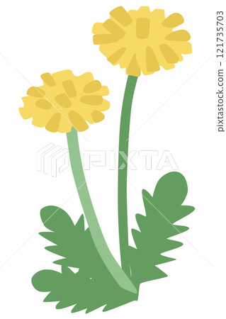 Simple dandelion vector illustration Simple dandelion vector illustration 121735703
