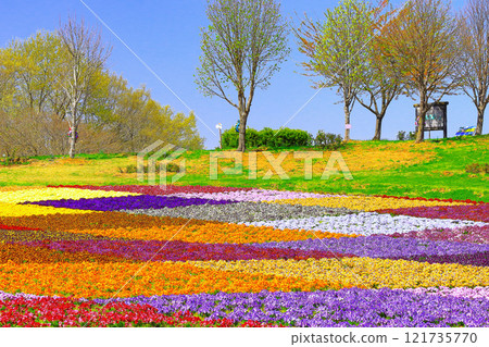 清新的藍天和鮮豔的花朵地毯 清新的藍天和鮮豔的花朵地毯 121735770